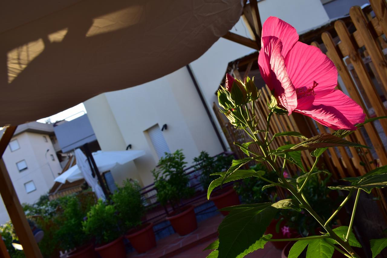 Domus Socolatae Apartments&Suites Follonica Eksteriør bilde